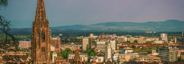 Freiburg im Breisgau