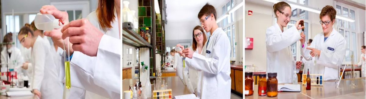 Dr. von Morgenstern Schulen