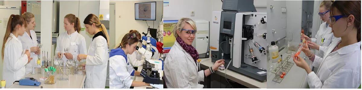 Vorbereitungen im mikrobiologischen Praktikum