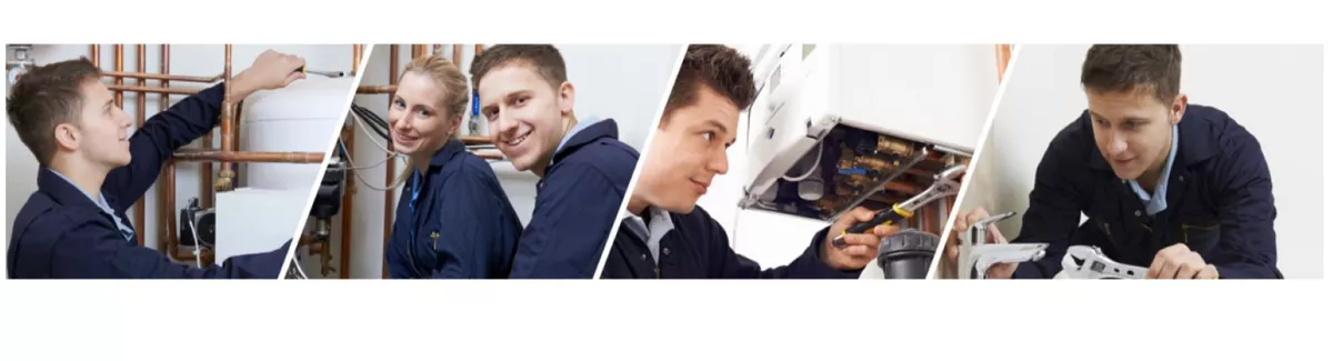 Wisotzki GmbH & Co. KG