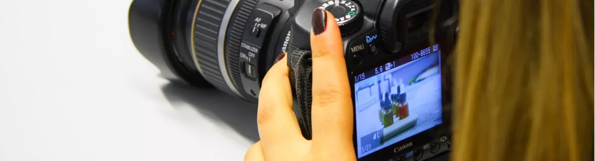 ElementsofSchoolDenzer8985