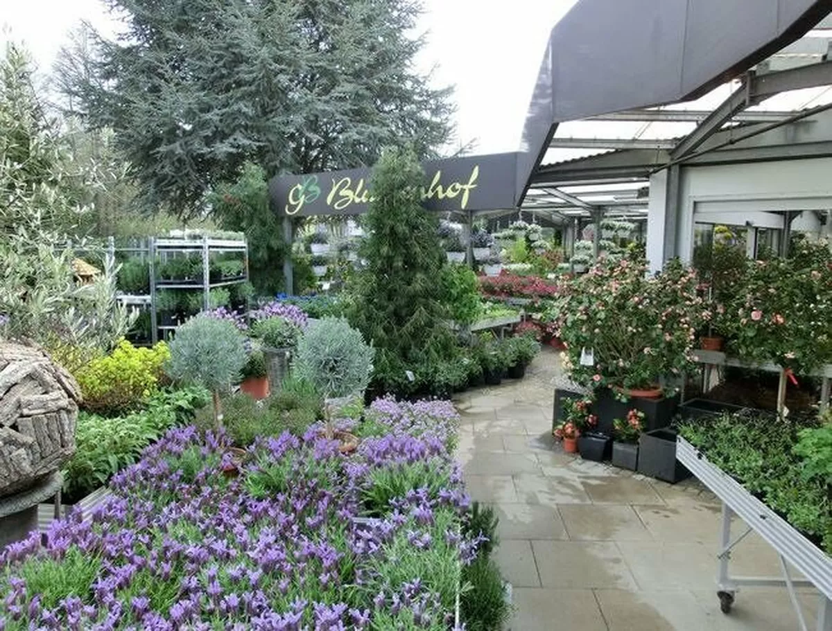 Ausbildung Florist / Floristin