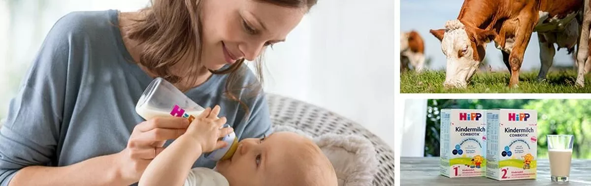 Ausbildung Industriekaufmann / Industriekauffrau