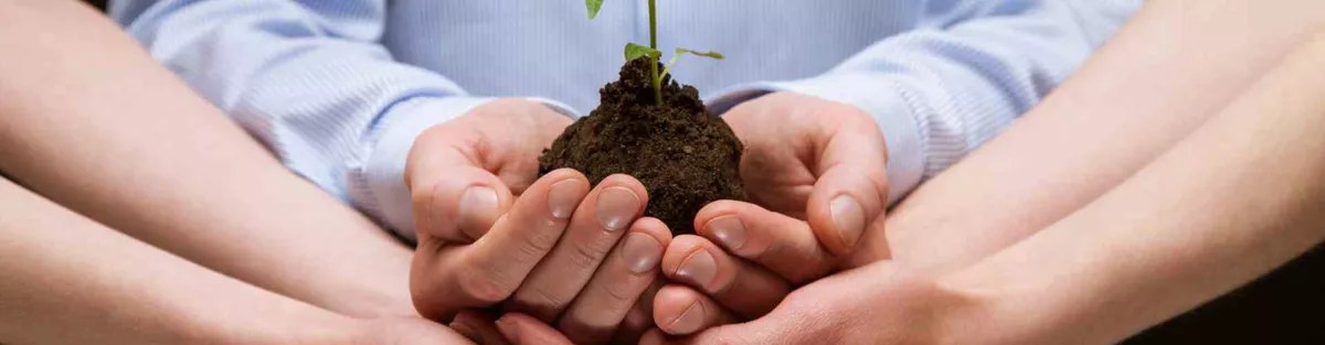 BSP Business & Law School - Sustainability and Management (M.Sc.)