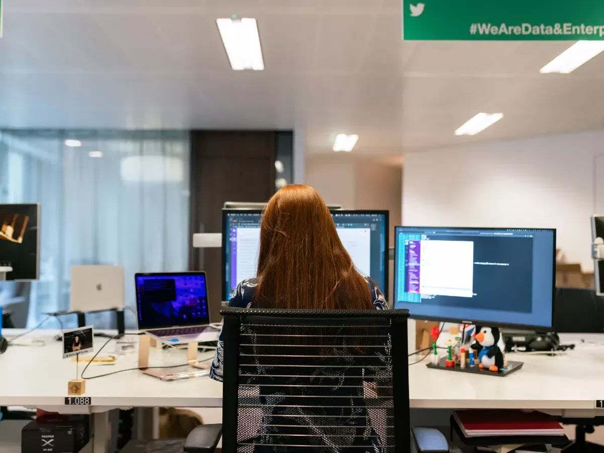 Data Science (B.Sc.)