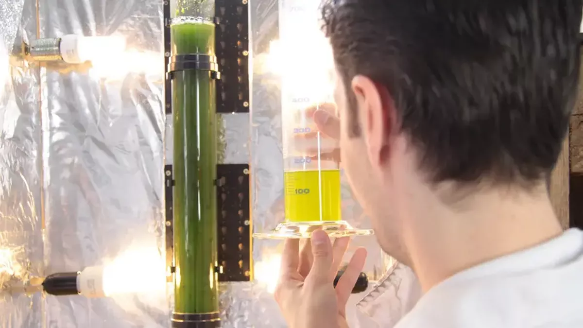 Bio- und Prozess-Ingenieurwesen / Verfahrens­technik (B.Eng.)