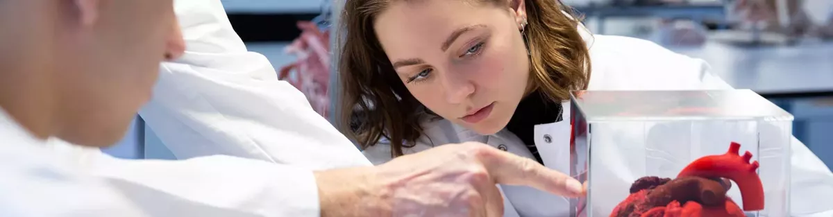 Humanmedizin (Staatsexamen)