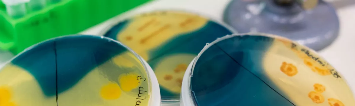 Angewandte Naturwissenschaft (B.Sc.)