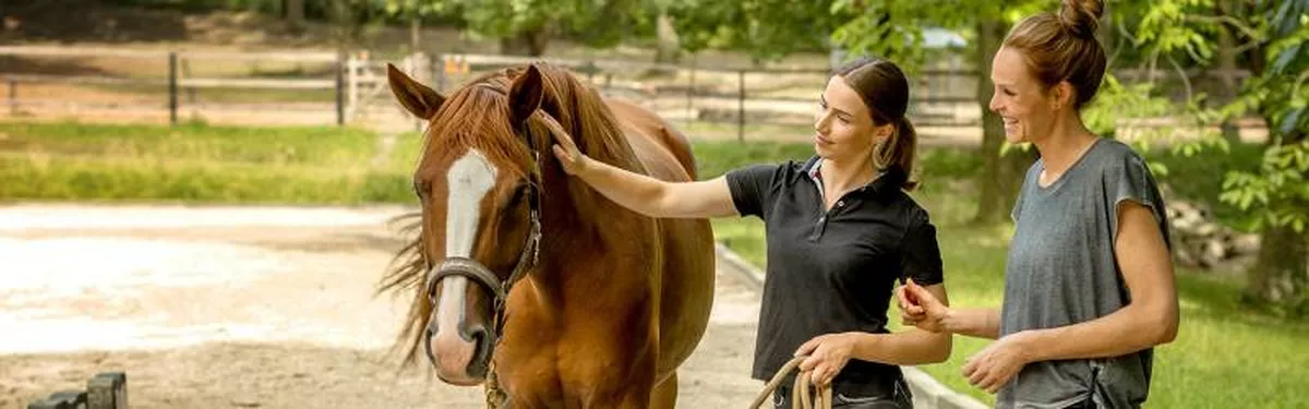 Pferdeverhaltenstrainer:in