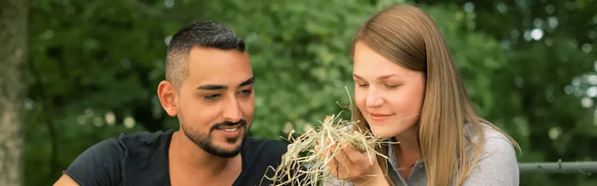 Berater:in für Pferdefütterungsmanagement