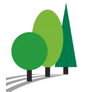 Herr Detlef Freigang