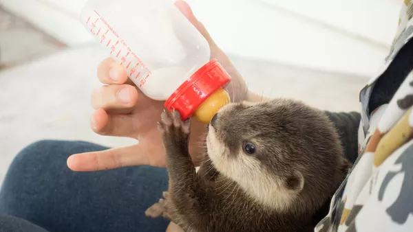 Tierpfleger / Tierpflegerin