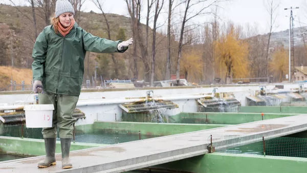 Fischwirt / Fischwirtin