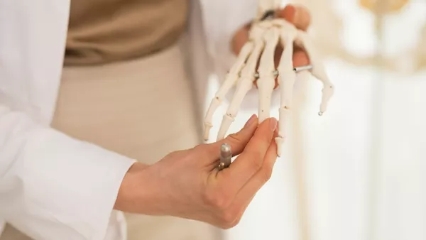 Biologiemodellmacher / Biologiemodellmacherin