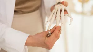 Biologiemodellmacher / Biologiemodellmacherin