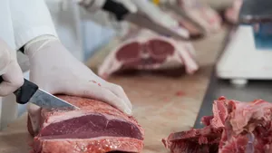 Metzgerin / Macellaia