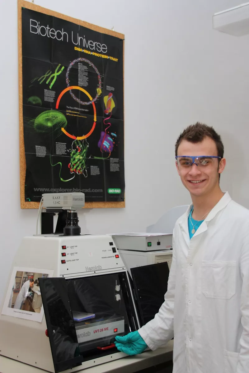 Auswertung eines Elektrophoresegels