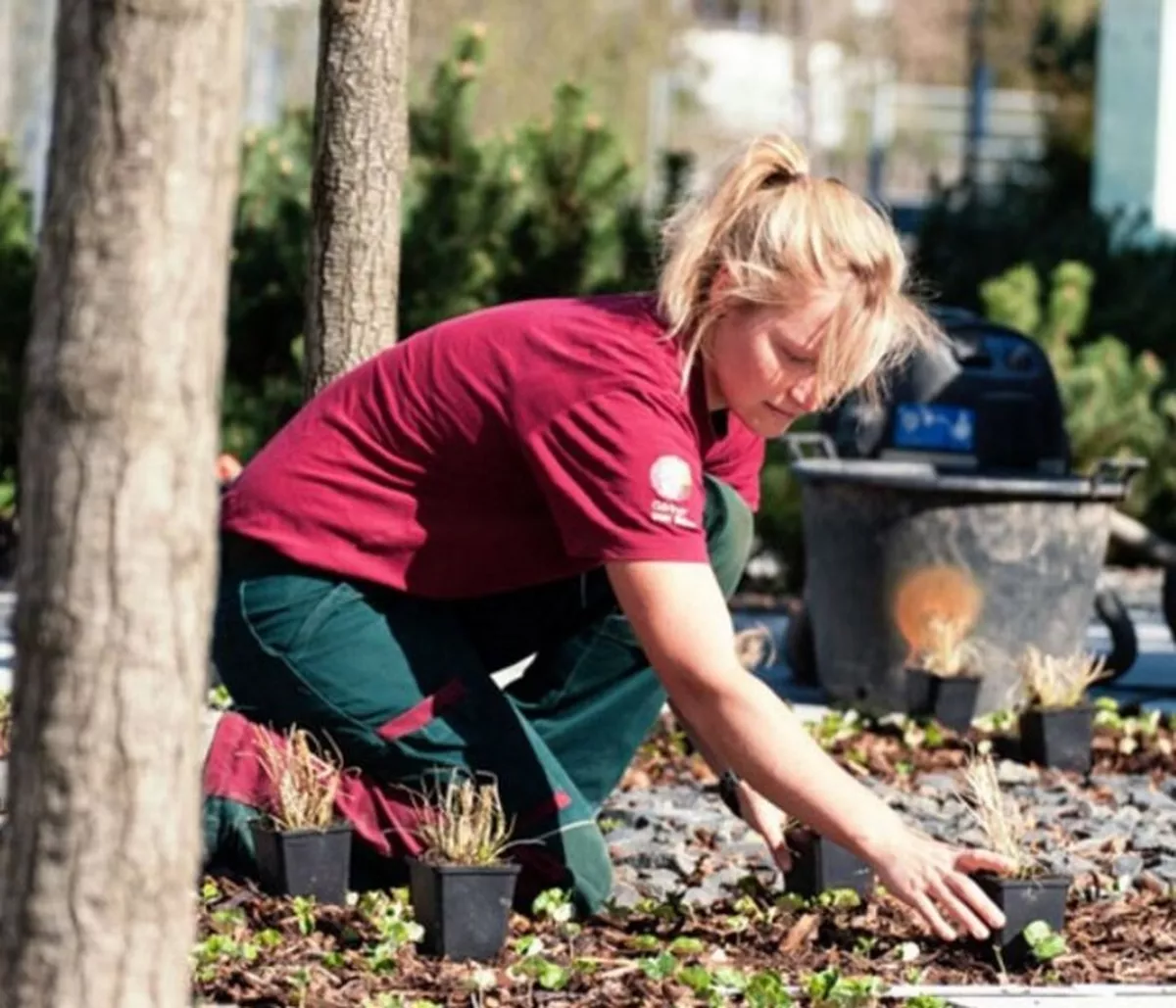 Ausbildung zum Gärtner/-in (m/w/d)