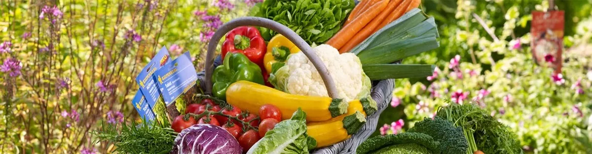 Ausbildung bei Bruno Nebelung GmbH