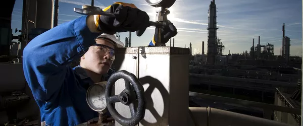 Die Bildung in der Ausbildung