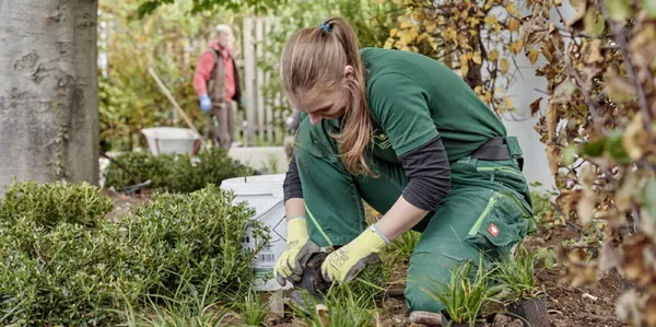 Dein Start in den Beruf bei den Landschaftsgärtnern