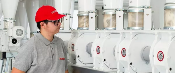 Neue Lehrberufe für Holztechnik und Getreidewirtschaft