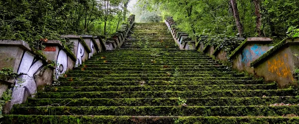 5 Dinge, die du aus THE LAST OF US für deine Ausbildung lernen kannst