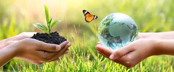 Nachhaltigkeit in der Ausbildung