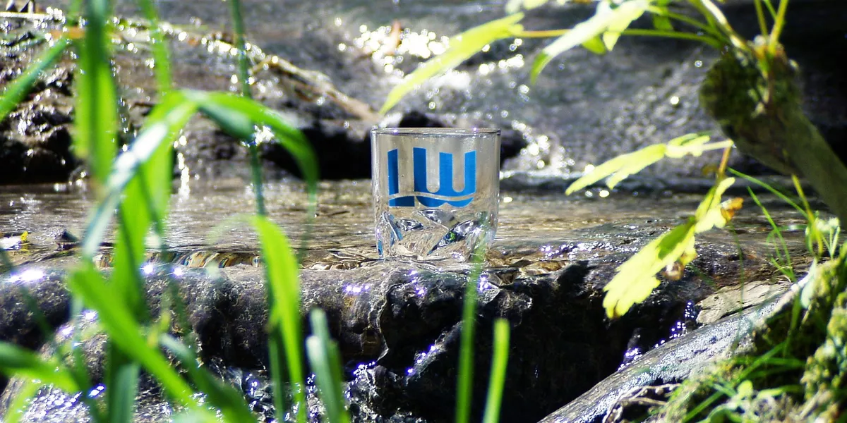 Zweckverband Landeswasserversorgung Baden Württmeberg