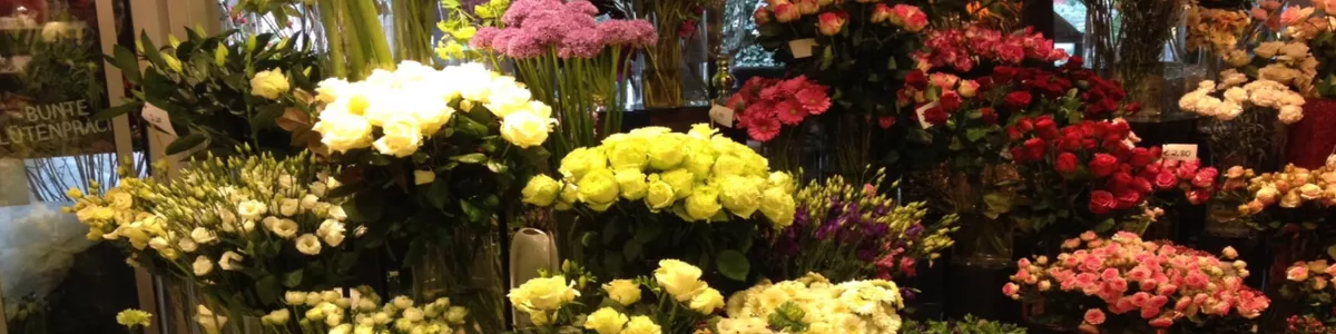 Blumenhof Gerhard Borgstedt