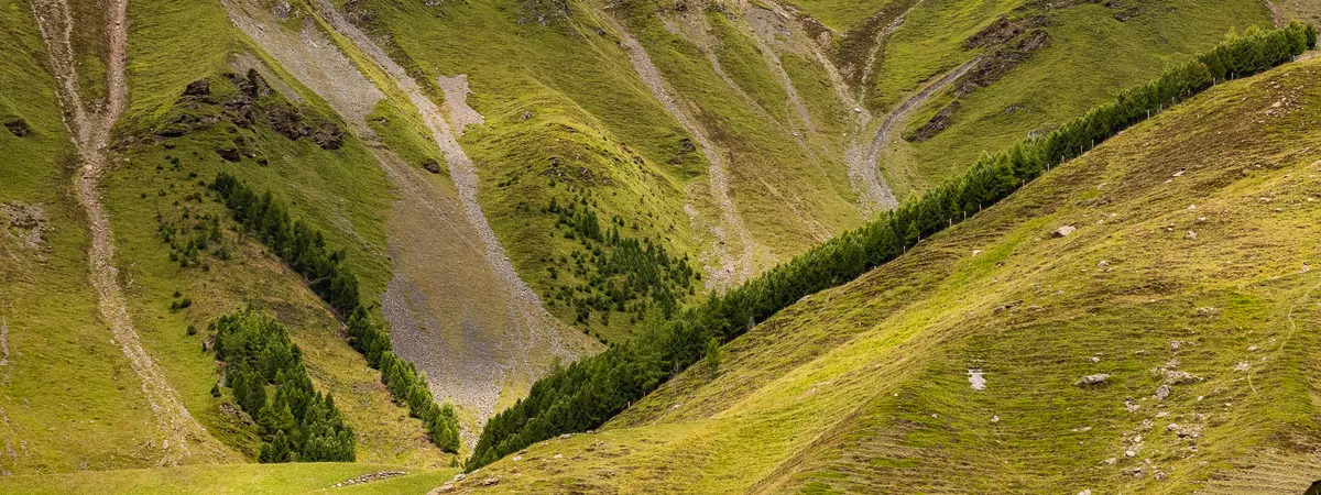 Lehrstellen Südtirol