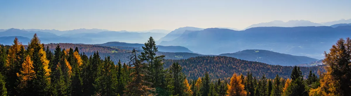 Lehre Südtirol