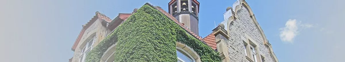 PKF WMS Bruns-Coppenrath & Partner mbB