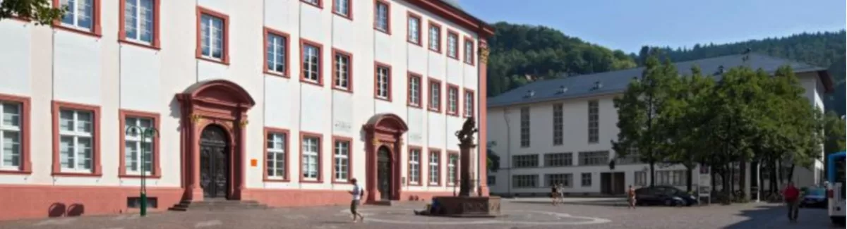 Universität Heidelberg