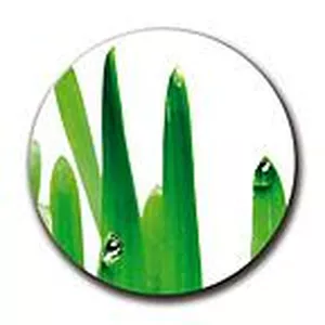 Logo Helmich & Helmich GmbH