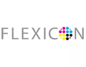 Flexicon AG - Logo