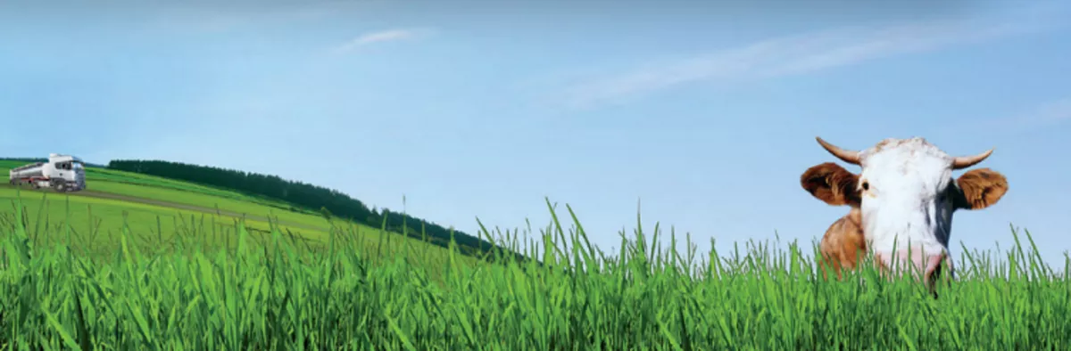 frischli Milchwerke GmbH