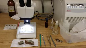 Werkstoffprüfer / Werkstoffprüferin