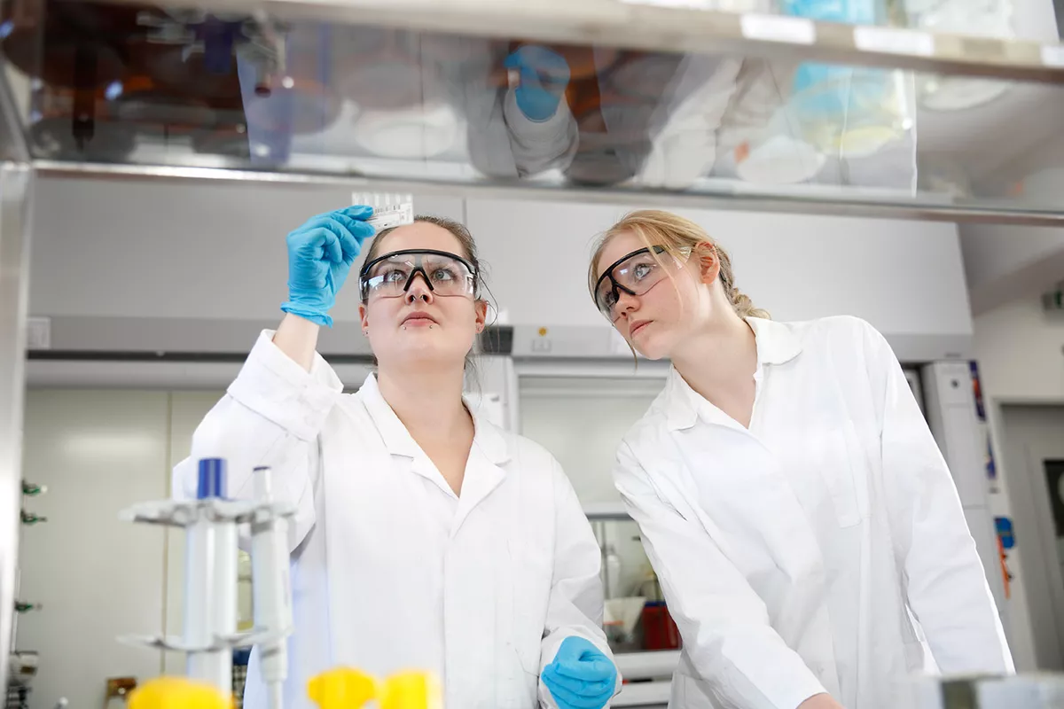 LFS_OL_BTA_2994_web_2018.15891