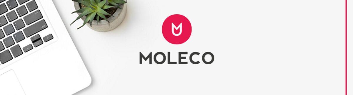 MOLECO GmbH