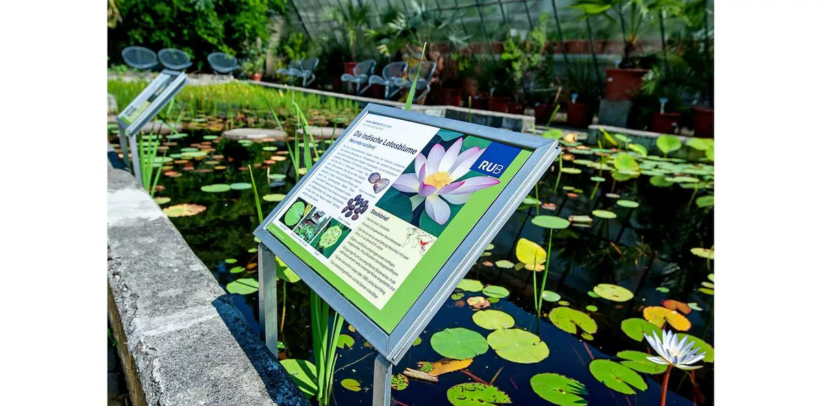 Tafel am Lotusteich