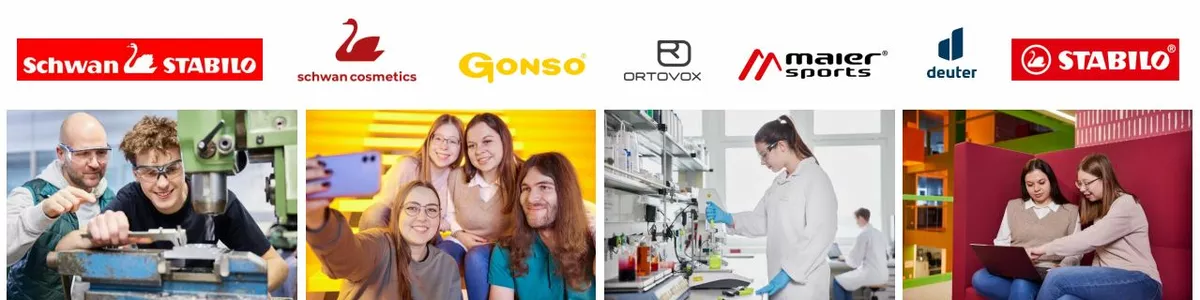 Schwanhäußer Industrie Holding GmbH & Co. KG