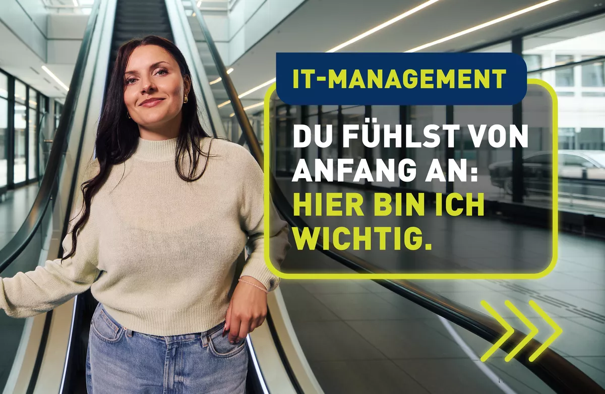 IT-Management – Verwaltungsinformatik