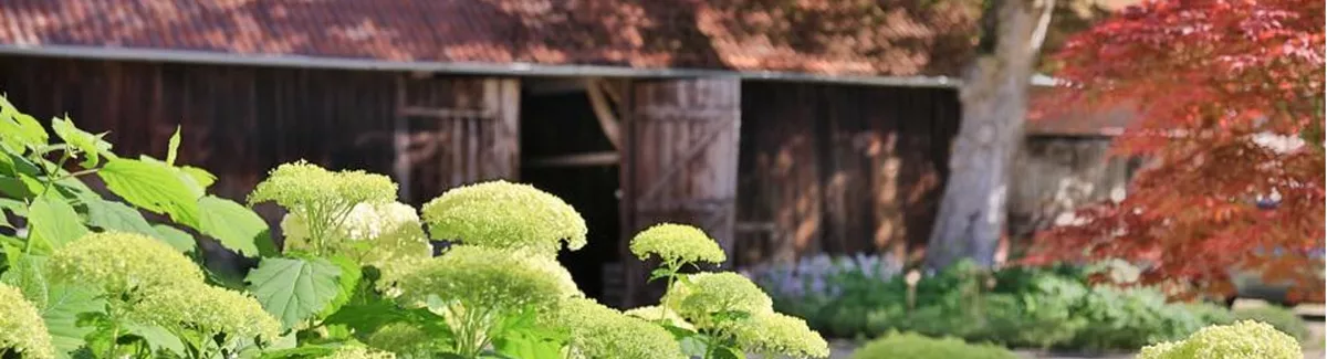 Daldrup Gärtner von Eden