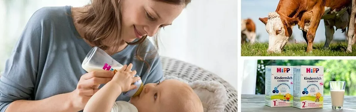 Ausbildung Milchtechnologe / Milchtechnologin