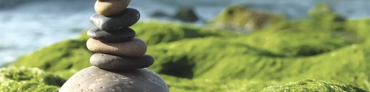 B.A. Betriebswirtschaftslehre und Management – Vertiefung Betriebliches Gesundheitsmanagement