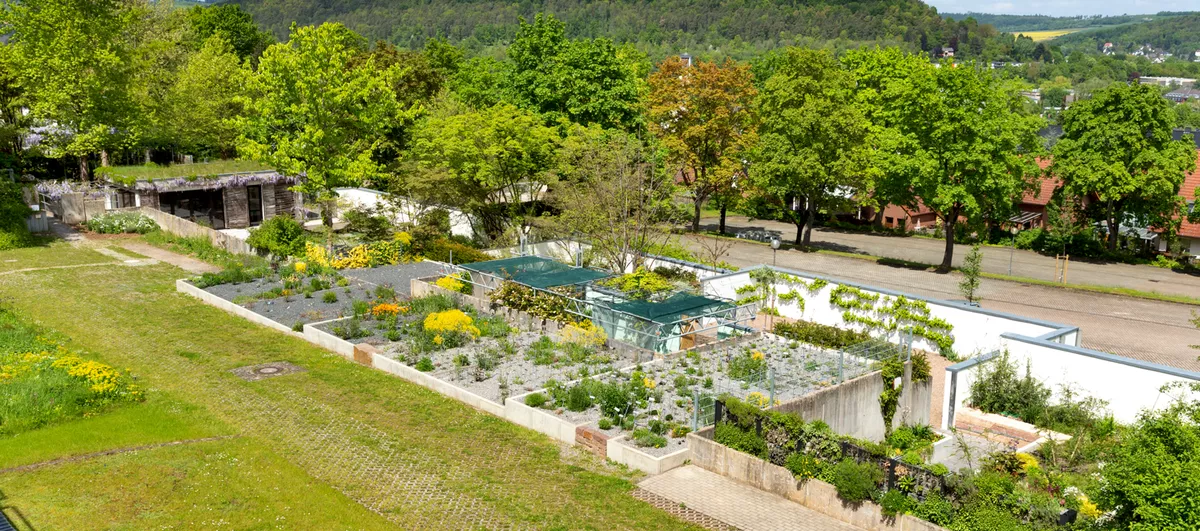 Sustainable Landscape Design and Development (M. A.)