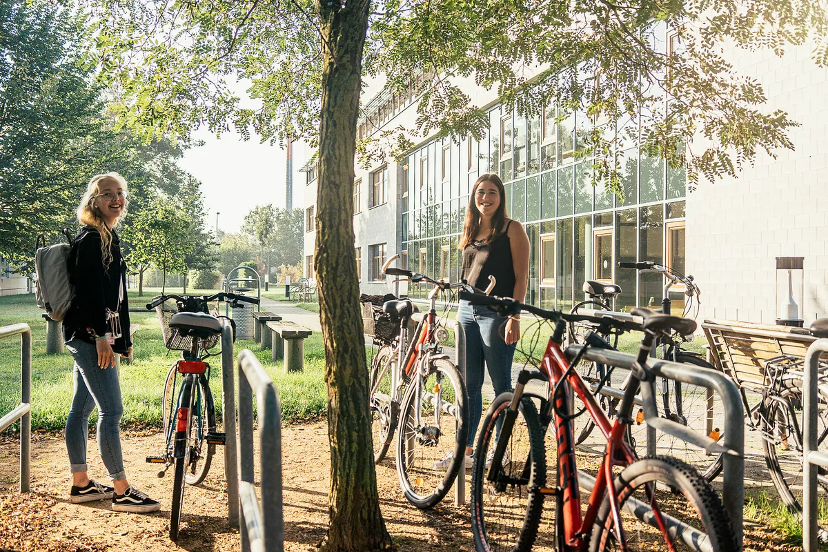 Unternehmenssteuerrecht (LL.M.)