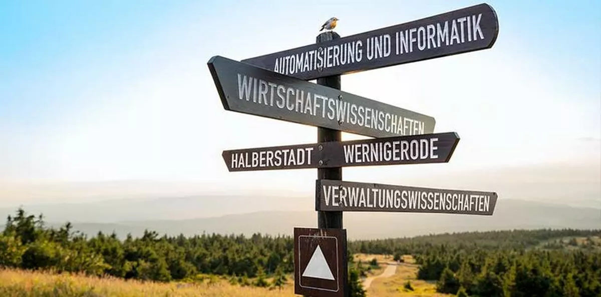 Orientierungsstudium