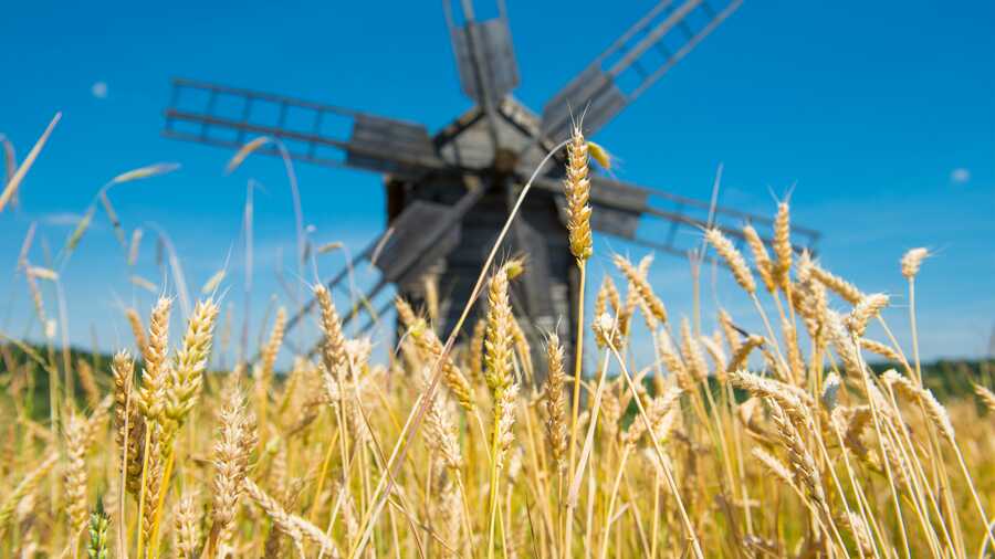Verfahrenstechnologen in der Mühlen- und Getreidewirtschaft arbeiten heutzutage kaum noch in traditionellen Windmühlen.